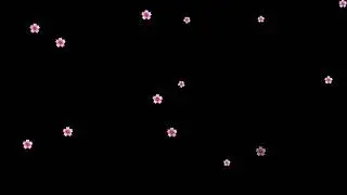 Falling Sakura Flowers Green Screen Black Screen Cherry Blossoms Falling