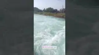 Sirhind Canal |#canal#sirhindcanal#canalwater#capturedbyjagjitvandal#jagjitvandal#jagjitsinghvandal