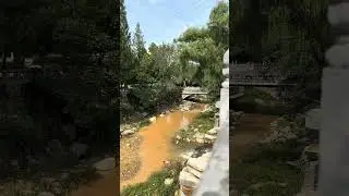 Shaolin Zen: Flowing Mountain River
