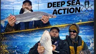 SMALL Boat, BIG Fish! | Offshore Deep Sea Action &ndash; The Solent Warrior 