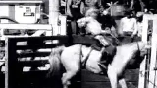 scarred - no life 1984