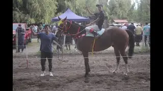 Cumbion vs Te Pasaste 2.0 (Clasico)