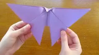 Butterfly Origami