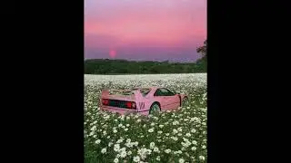 [FREE FOR PROFIT] Don Toliver x Cardo Type Beat - 