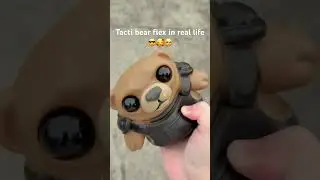 Tacti bear flex irl #valorant #valorantflex #valorantna #valoranteu #valorantclips #valorantmoments
