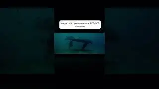 Были у вас такие бро? #егэ #мем #мемас #math #memes #мемы #7классалгебра #огэ #прикол