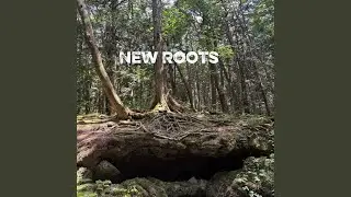 New Roots