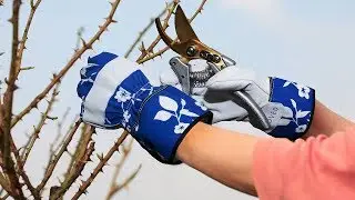 Best Gardening Gloves For Digging Top 5 Products