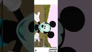 2011 2012 2013 2014 2015 2016 2017 2018 2019 2020