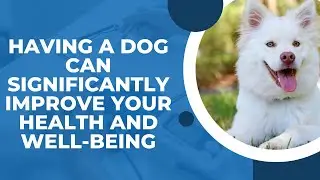 Dogs: Cherished Companions and Loyal Friends