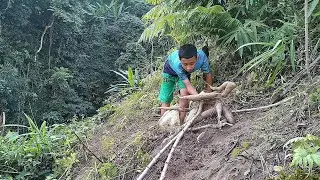 The boy built a farm life, the cold winter nights on the farm