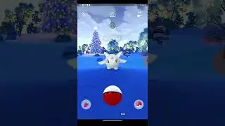 Pokemon go (Christmas 2025)