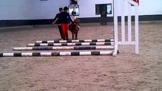 VID-20130415-00004