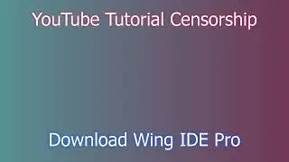 Installing Wing IDE Pro on Windows 11: Quick Setup