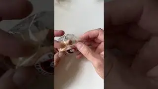 What&rsquo;s my Fortune? Opening a Fortune Cookie from Panda Express Part 2