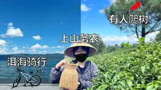 【English sub】大理有什么好的？1年独自去了2次还念念不忘…What is the best in Dali, China?