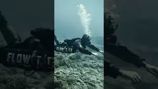 Hovering is NOT a skill but the sideffect of correct buoyancy control! #underwater #scuba #diving