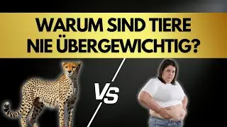 Dicke Frauen und schlanke Tiere - warum ist das so?