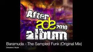 Baramuda - The Sampled Funk (Original Mix)