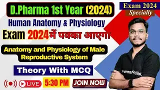 HAP - Anatomy and Physiology of Male Reproductive System | D.Pharma 1st year 2024 Important Topic