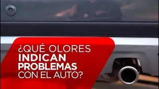 &iquest;Qu&eacute; olores indican problemas en el auto?