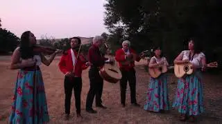 Los Panaderos and Friends - El Toro Serrano 2018