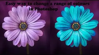 Easy way to change a range of colours in Photoshop #Changecolour #range