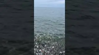 Batumi sea beach today, Georgia #shorts
