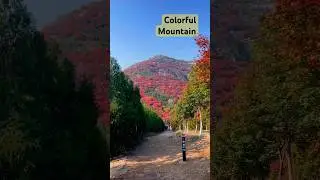 Colorful mountain before the eye #china #autumn #beijing #redleaves