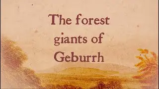 The forest giants of Geburrh - Mount Macedon