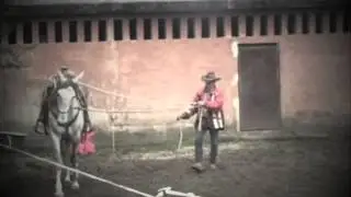 D&eacute;bourrage cheval 