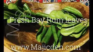 Boil bay rum and 9 gold coins for good fortune& Financial favors