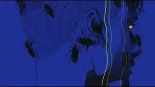 Type Beat 