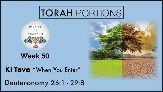Torah Portions - Week 50 - Ki Tavo | כִּי-תָבוֹא l &ldquo;When You Enter&rdquo; - W/ Parable of the Vineyard