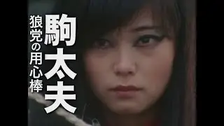 駒太夫/快傑ズバット