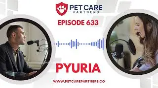 EP 633: Pyuria in Pets: Causes, Diagnosis, and Treatment | Pet Care Partners Podcast