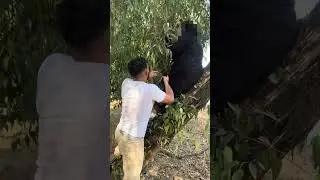 أحسن مقلب فالمغرب 🇲🇦😂