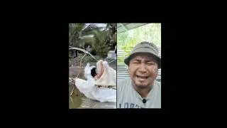 alamak...pukas terus ni..😆 #funnyshorts #funny #comedy #fypシ゚viral
