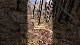 Vertical Coco to Monte Cassio #ebike #mtb #enduro #dh #newtrail #verticalcoco