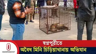 হরিণ, সজারু, বেবুনসহ ৭৪টি বন্য প্রাণী উদ্ধার | Shopnopuri Dinajpur | Independent TV