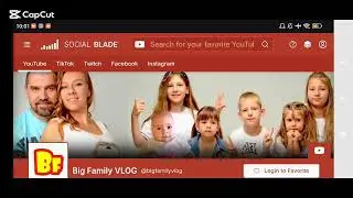 Big Family VLOG. Доход канала с монетизации контента на Ютубе 