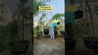Garden transformation part 2😀🪴.