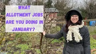 Allotment Jobs For January - Allotment Gardening For Beginners 2023