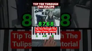 Tip Toe Through The Tulips Piano Tutorial #shorts #pianotutorial