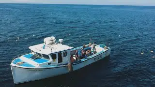 Deep Sea Fishing in Covehead PEI