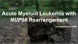 Understanding Acute Myeloid Leukemia with NUP98 Rearrangement: A Comprehensive Guide