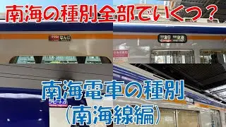 【鉄道雑学】南海の種別は全部でいくつ？南海電車の種別(南海線編)