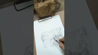 live drawing class demonstration