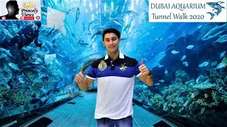 Dubai Aquarium Tunnel Walk 2020 | Dubai Mall
