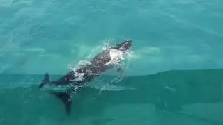 POINT ANN Western Australia